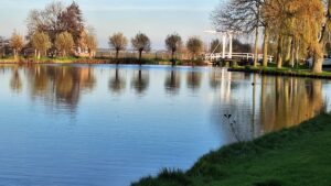 IMG-20241129-WA0024