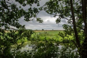 Polder bij Oostvaart-foto Janny Eskes (Large)