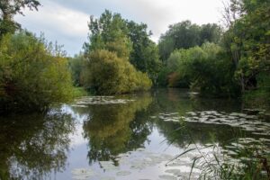 zegersloot